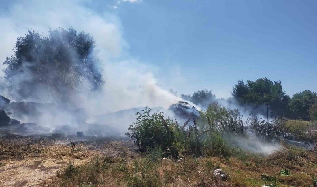 BOLU’DA SAZAKKINIK KÖYÜNDE HENÜZ