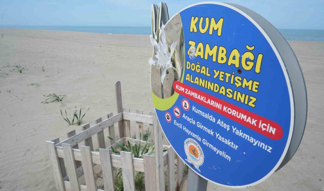 SAMSUN'DA ATAKUM SAHİLİ KUMSALINDA