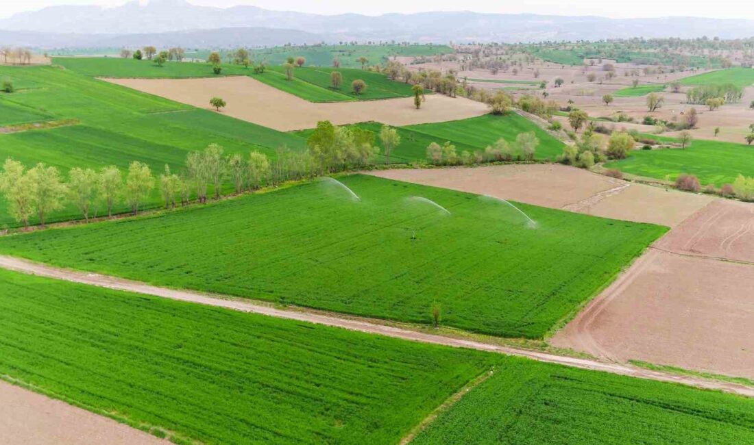 SAMSUN’DA 15 NİSAN’DA BAŞLAYAN