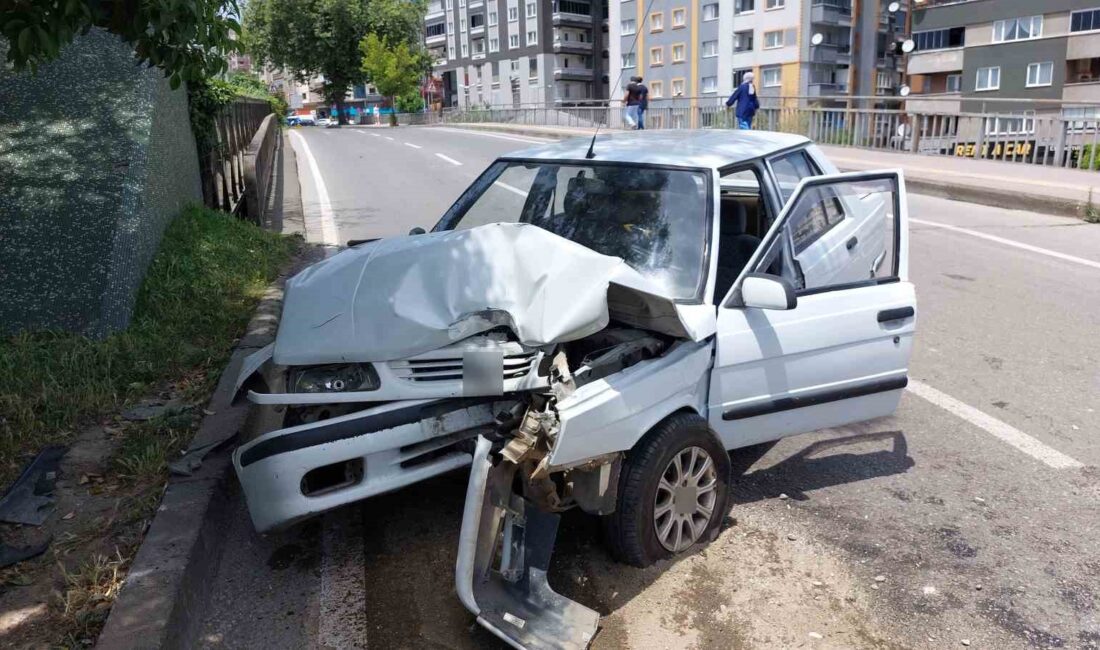 SAMSUN'DA YOLDAN ÇIKAN OTOMOBİLİN