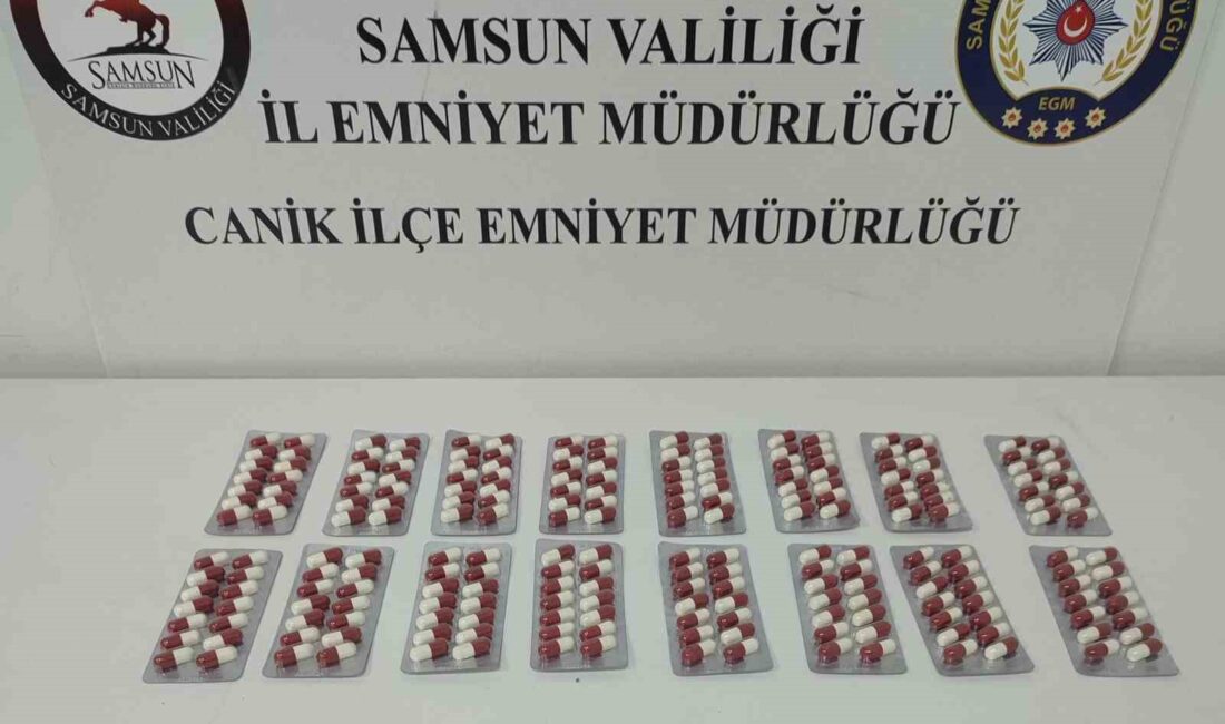 SAMSUN'DA İLÇE POLİS EKİPLERİ