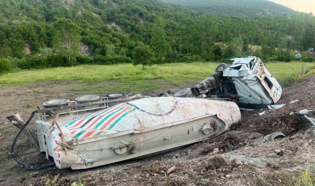 SAMSUN'UN KAVAK İLÇESİNDE KONTROLDEN