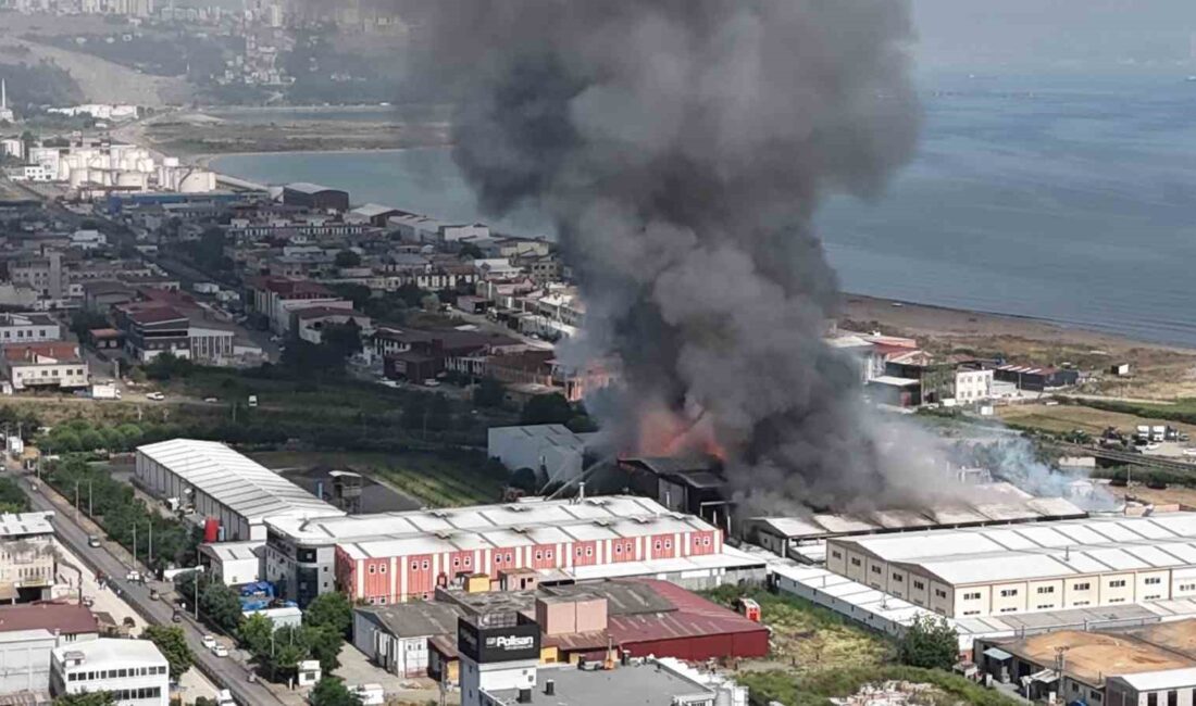 SAMSUN'DA BEBEK BEZİ FABRİKASI