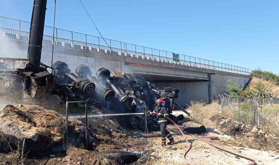 ŞANLIURFA'DA DEVRİLEN SAMAN YÜKLÜ