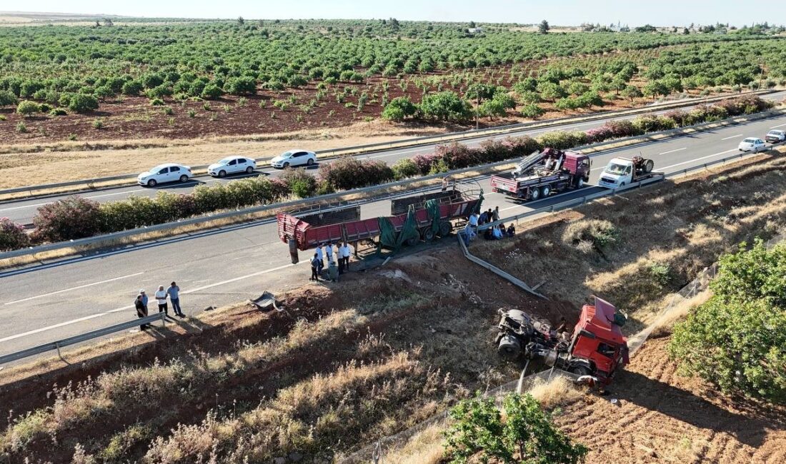 ŞANLIURFA'DA KURBANLIK BOĞALARI TAŞIYAN