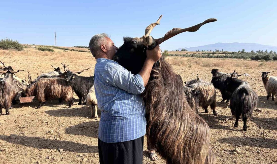 HATAY’DA KURBANLIKLARIM BENİ TANIYOR,