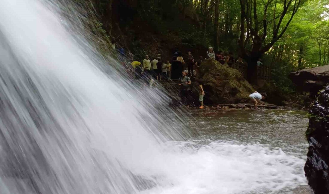 DOĞA TUTKUNLARI TARAFINDAN TESADÜFEN