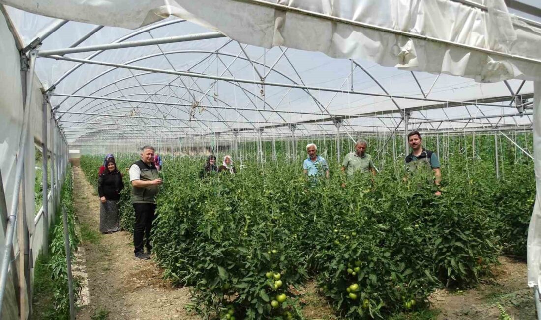 ZONGULDAK ORMAN BÖLGE MÜDÜRLÜĞÜNCE