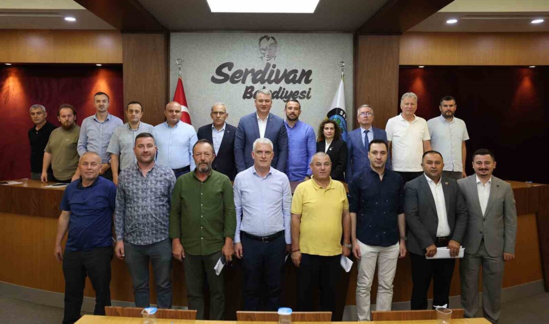 SERDİVAN'DA 2024 YILI ASFALT