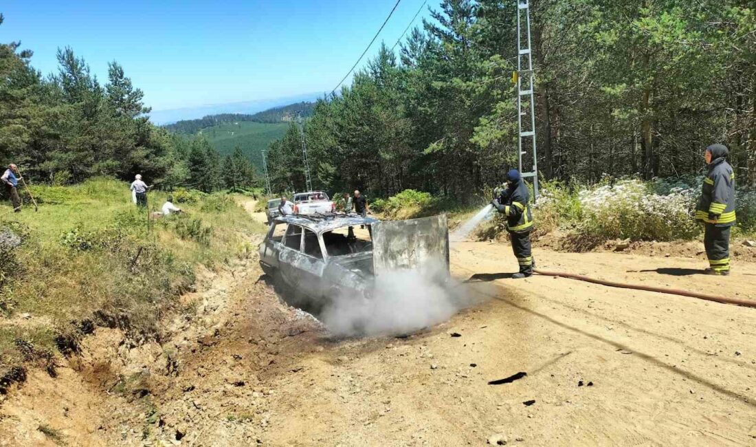 SAMSUN’UN VEZİRKÖPRÜ İLÇESİNDE SEYİR