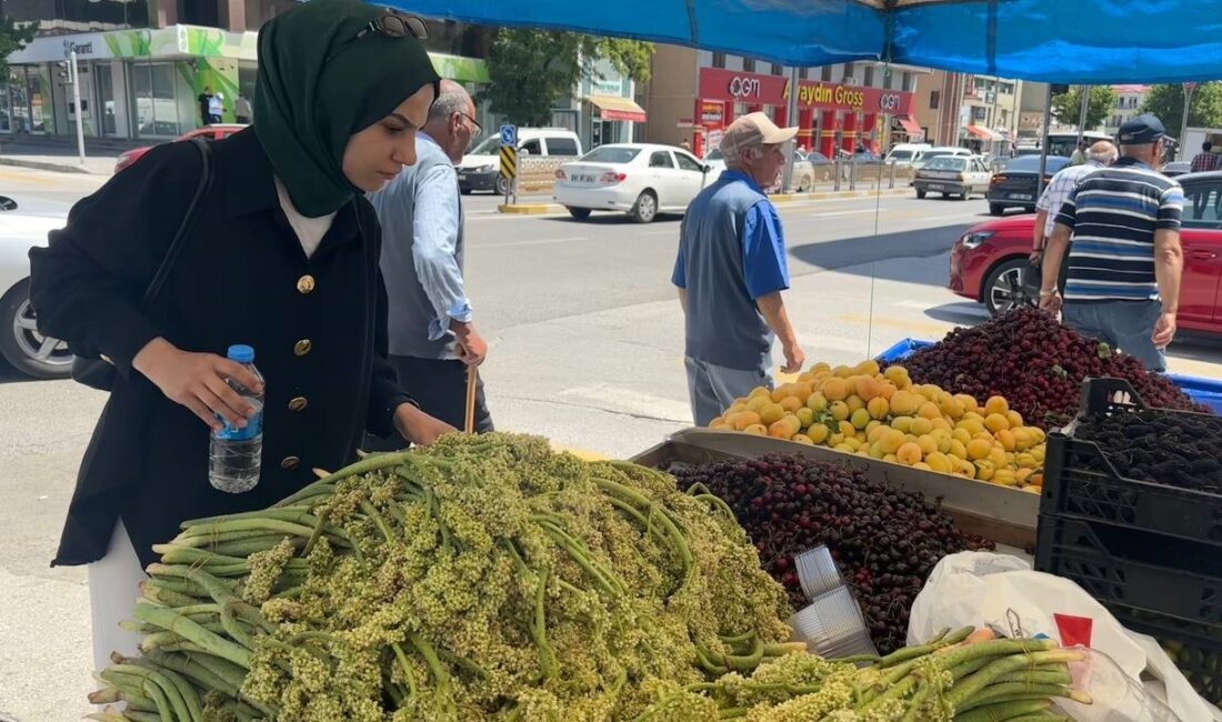 SEZONUN SON IŞKINLARI TEZGÂHLARDA