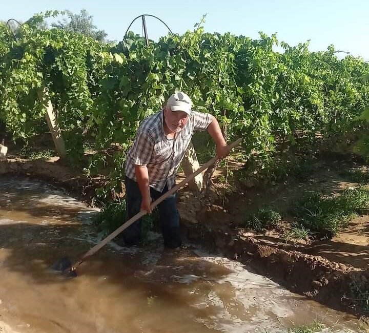 MANİSA'NIN SARIGÖL İLÇESİNİN DÜNYACA