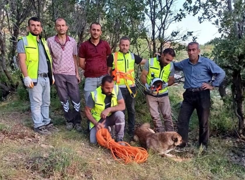 Siirt’te kuyuya düşen çoban köpeği, ERKUT ekipleri tarafından kurtarıldı