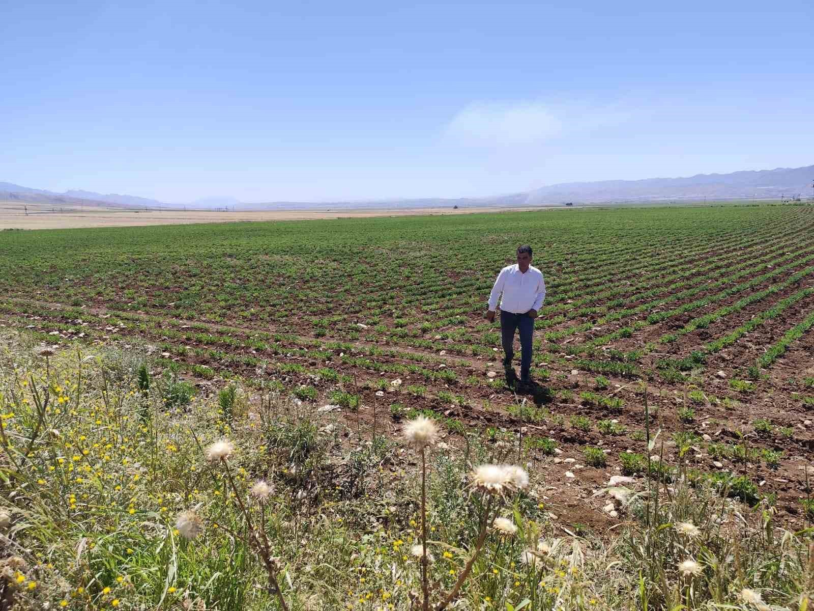 Silopi’ye bin kişiyi istihdam edecek Sera Organize Tarım Bölgesi kuruluyor