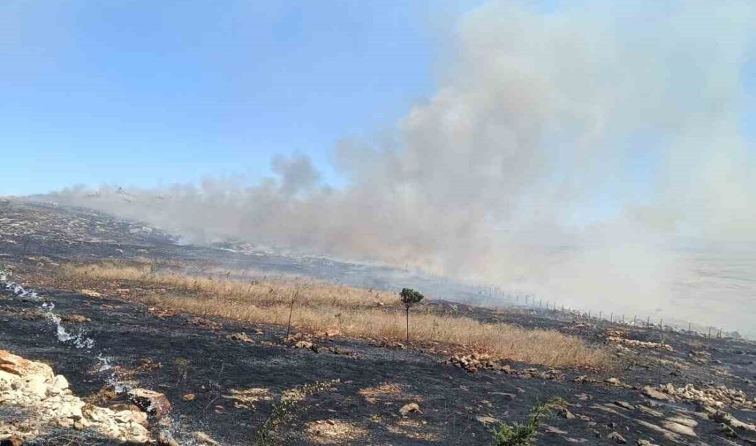 DİYARBAKIR’IN SİLVAN İLÇESİNDE ÇIKAN