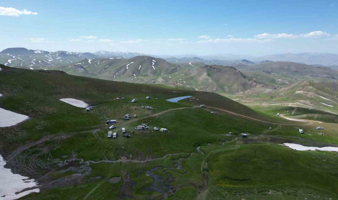 ŞIRNAK YAYLALARI BU YIL