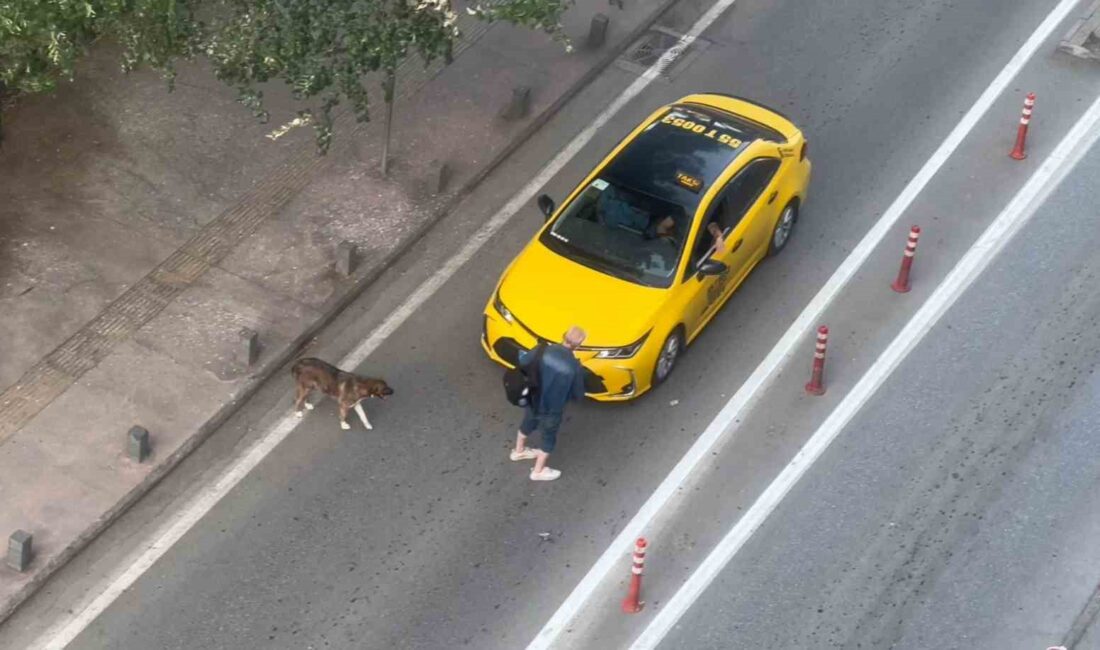 SAMSUN ANITPARK'TA ALKOL İÇEN