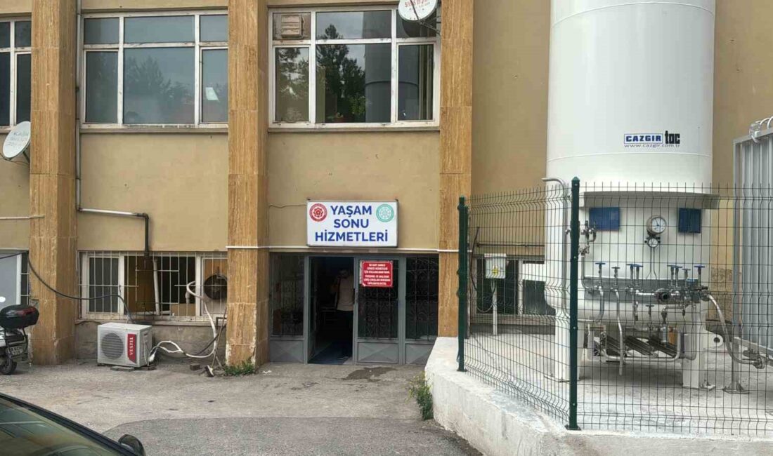 SİVAS'TA VÜCUDUNA KENE YAPIŞMASI