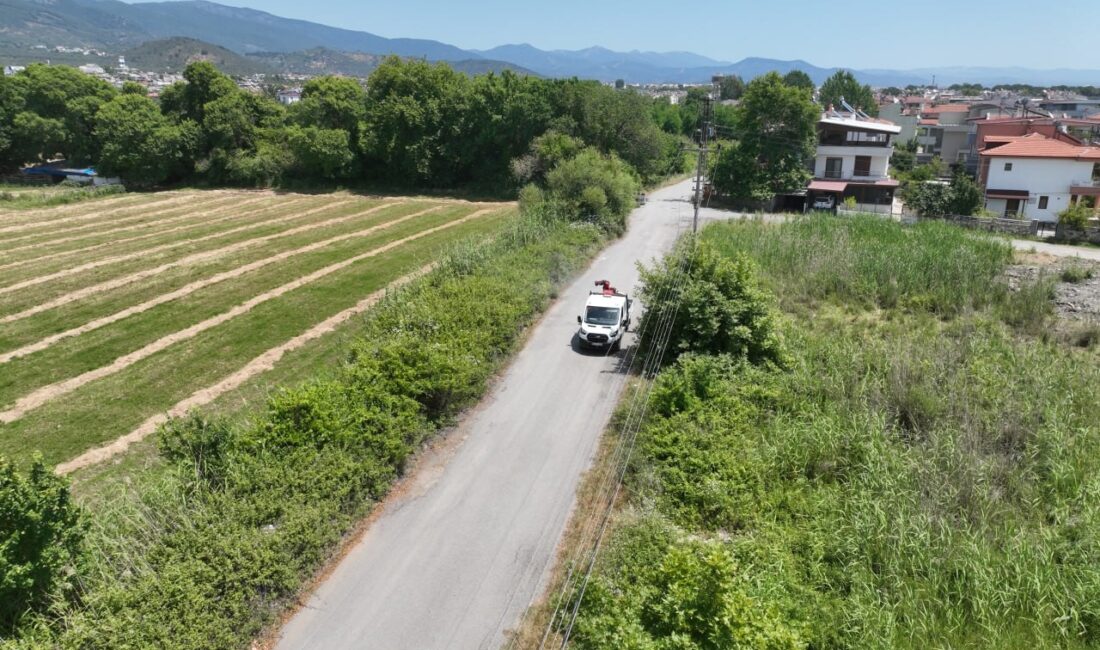 BALIKESİR’İN EDREMİT BELEDİYESİ, SİNEK