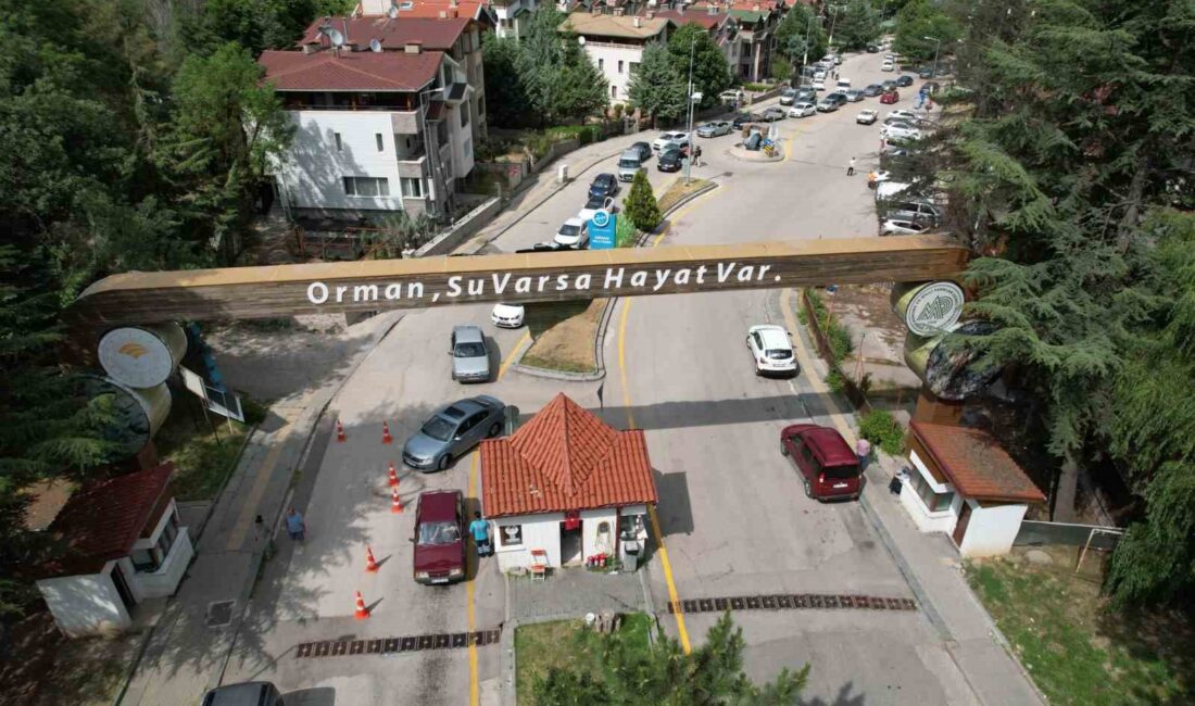 KURBAN BAYRAMI TATİLİNİ PİKNİK YAPARAK DEĞERLENDİRMEK İSTEYEN VATANDAŞLAR, ANKARA'NIN SİMGE