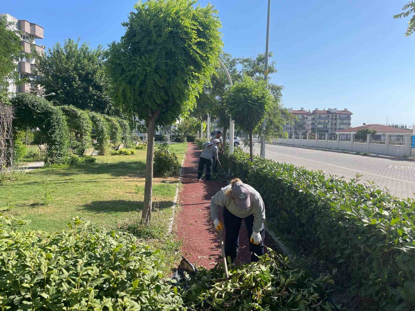 Söke Belediyesi park ve bahçeleri pırıl pırıl yapıyor