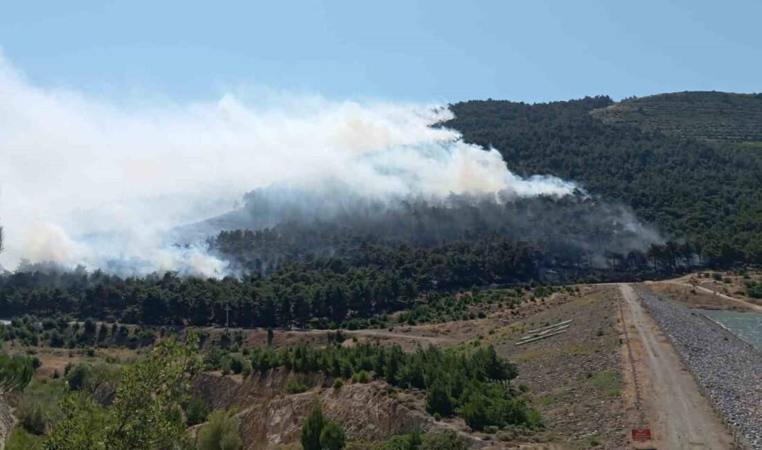 MANİSA'NIN SOMA İLÇESİNDE 14.40