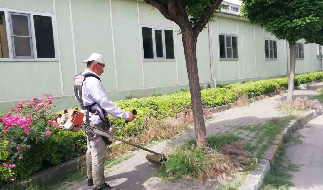 ALTIEYLÜL'DE SOSYAL ALANLAR DÜZENLENİYOR