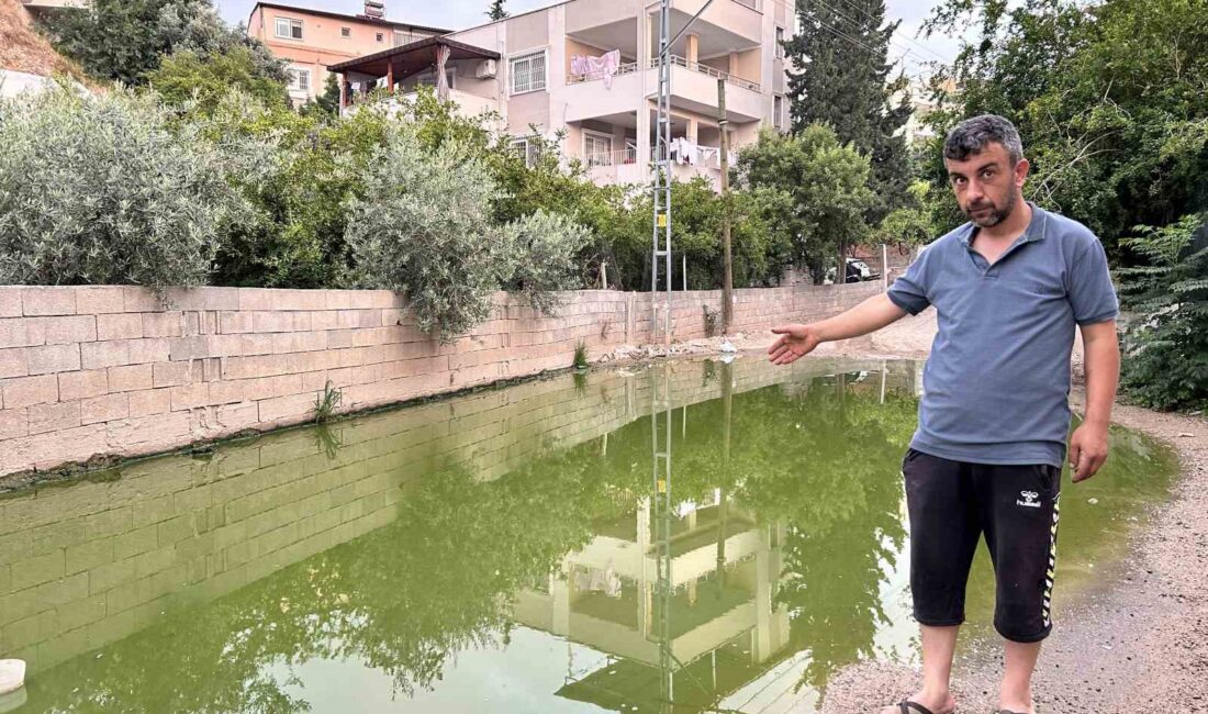 HATAY'DA MAHALLEDEKİ VATANDAŞLAR TARAFINDAN