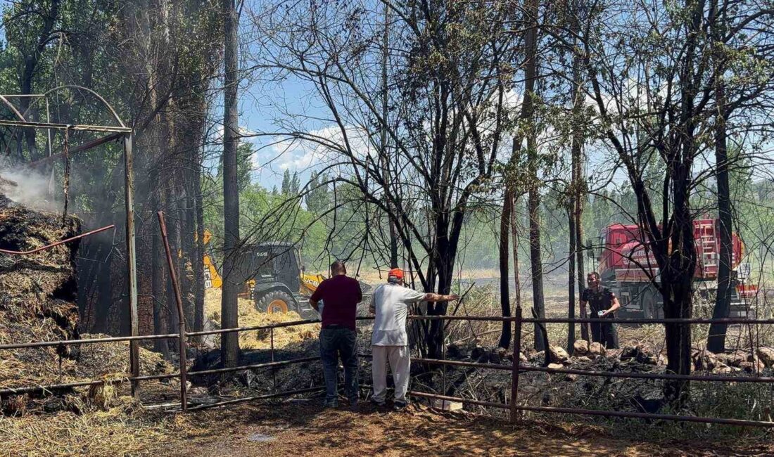 BURDUR’UN BUCAK İLÇESİNDE TARLADA