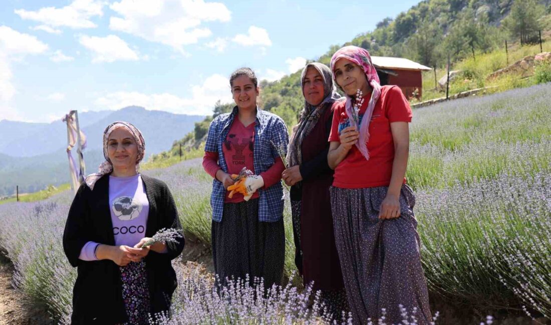 ADANA’NIN FEKE İLÇESİNDE 4