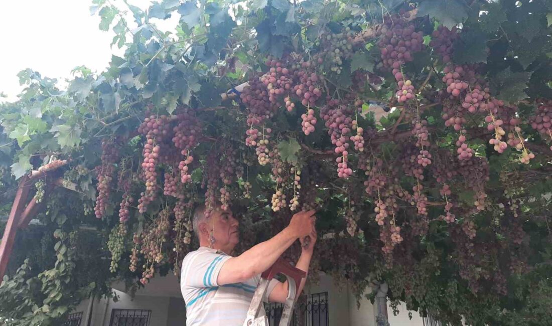 MANİSA'NIN SARIGÖL İLÇESİNDE EVİNİN