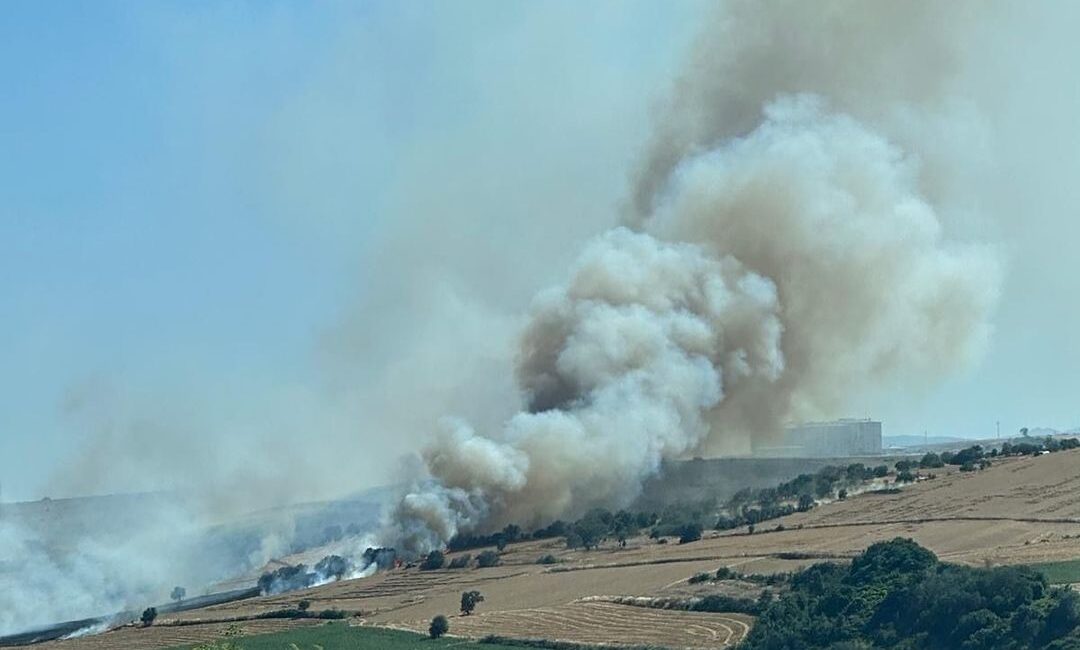 TEKİRDAĞ’DA BİR KISMI HASAT