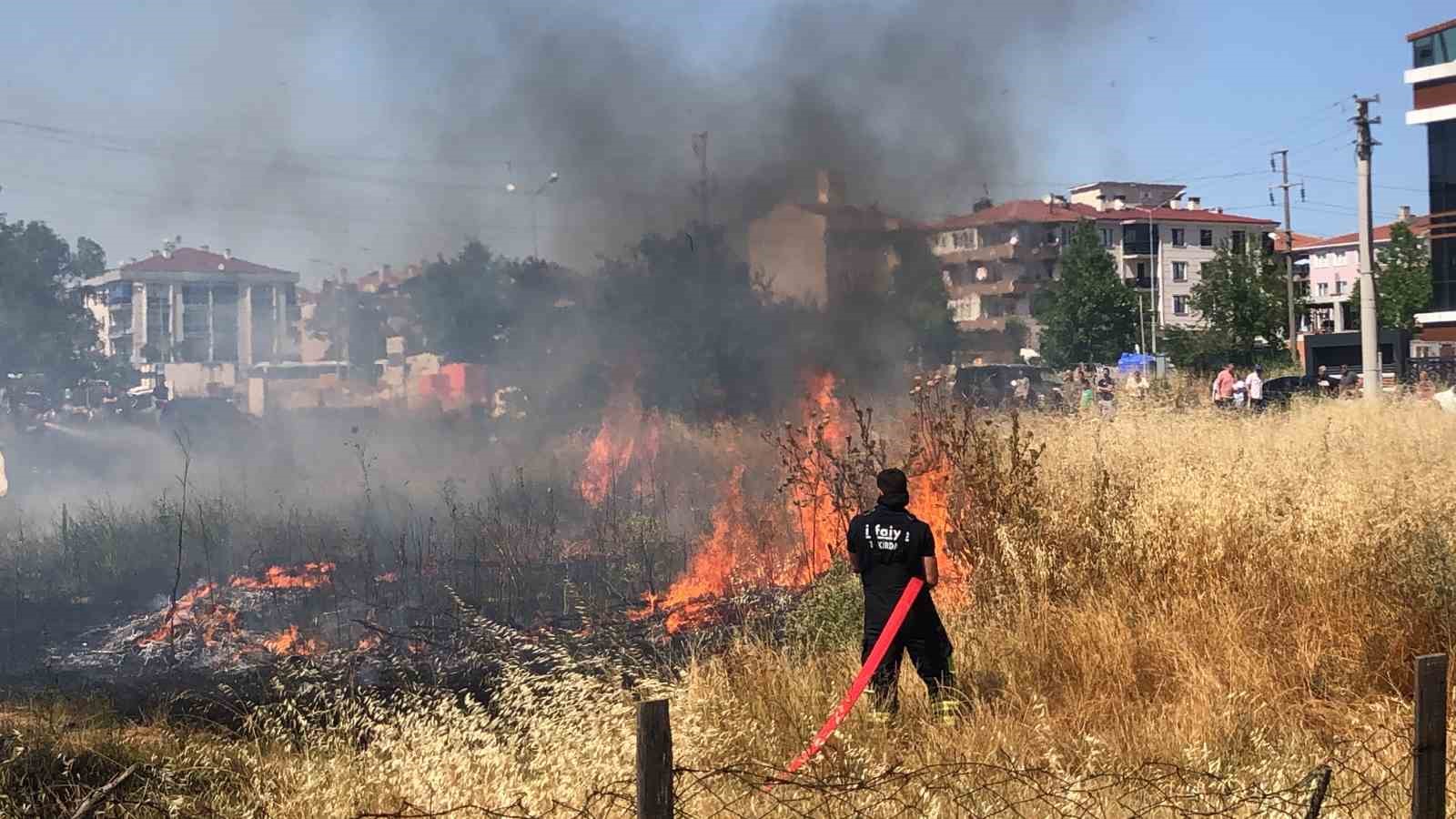 Tekirdağ’da mahalle arasındaki arazi yangını korkuttu: 50 güvercin son anda kurtarıldı