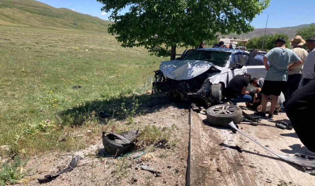 ERZURUM’UN TEKMAN İLÇESİNDE MEYDANA