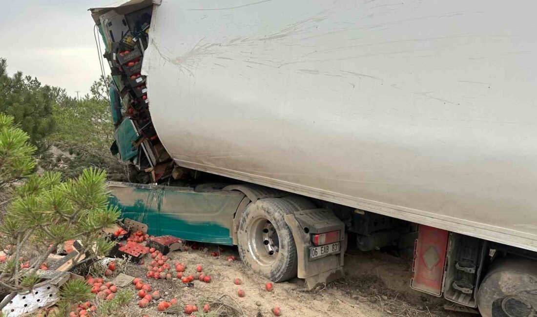 AFYONKARAHİSAR'DA DOMATES YÜKLÜ TIR