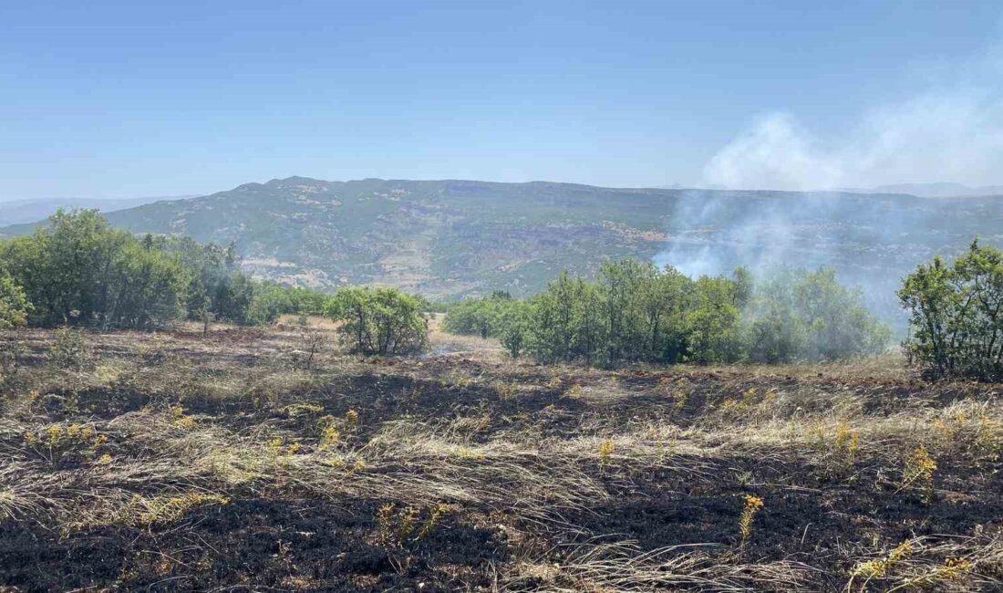 TUNCELİ’DE, ÖĞLEDEN SONRA MERKEZE