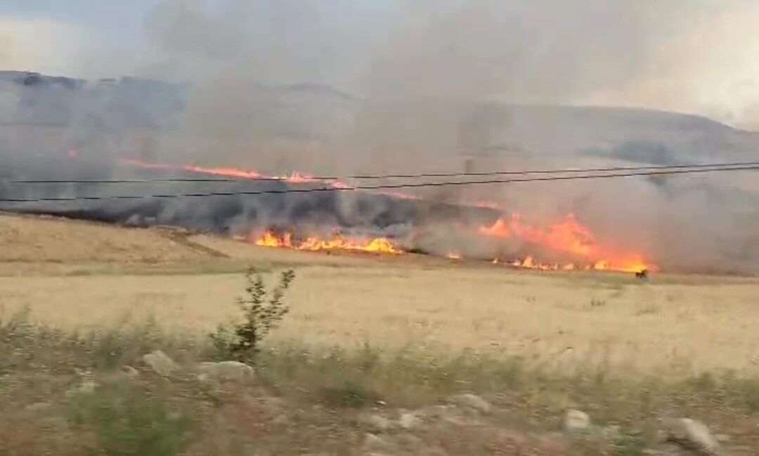 TUNCELİ'NİN ÇEMİŞGEZEK İLÇESİNDE, YILDIRIMIN