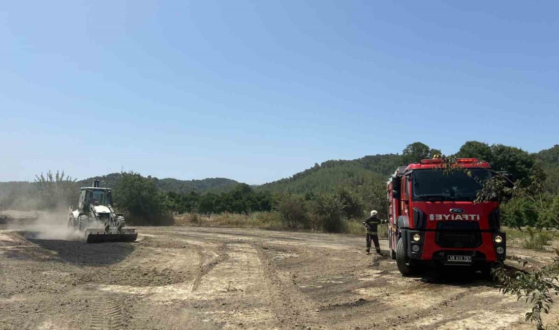 MUĞLA'NIN ULA İLÇESİ PORTAKALLIK