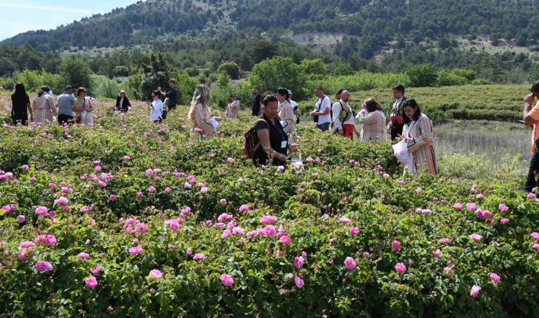 ULUSLARARASI ISPARTA GÜL FESTİVALİ