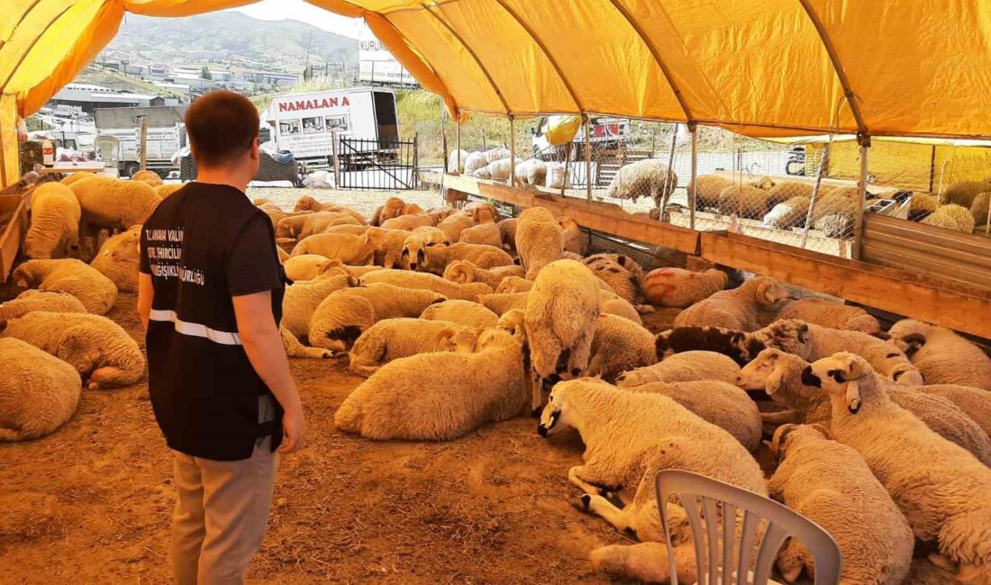 ÇEVRE, ŞEHİRCİLİK VE İKLİM DEĞİŞİKLİĞİ BAKANLIĞI, KURBAN BAYRAMI SÜRESİNCE YASAK