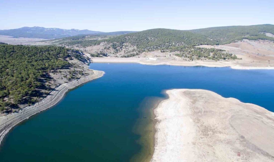 TARIM VE ORMAN BAKANLIĞI