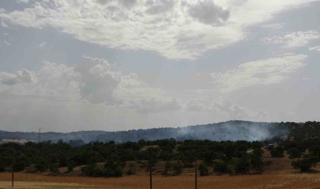 UŞAK’IN EŞME İLÇESİNE BAĞLI ÖRENCİK KÖYÜ YAKINLARINDA ÇIKAN YANGINDA 4