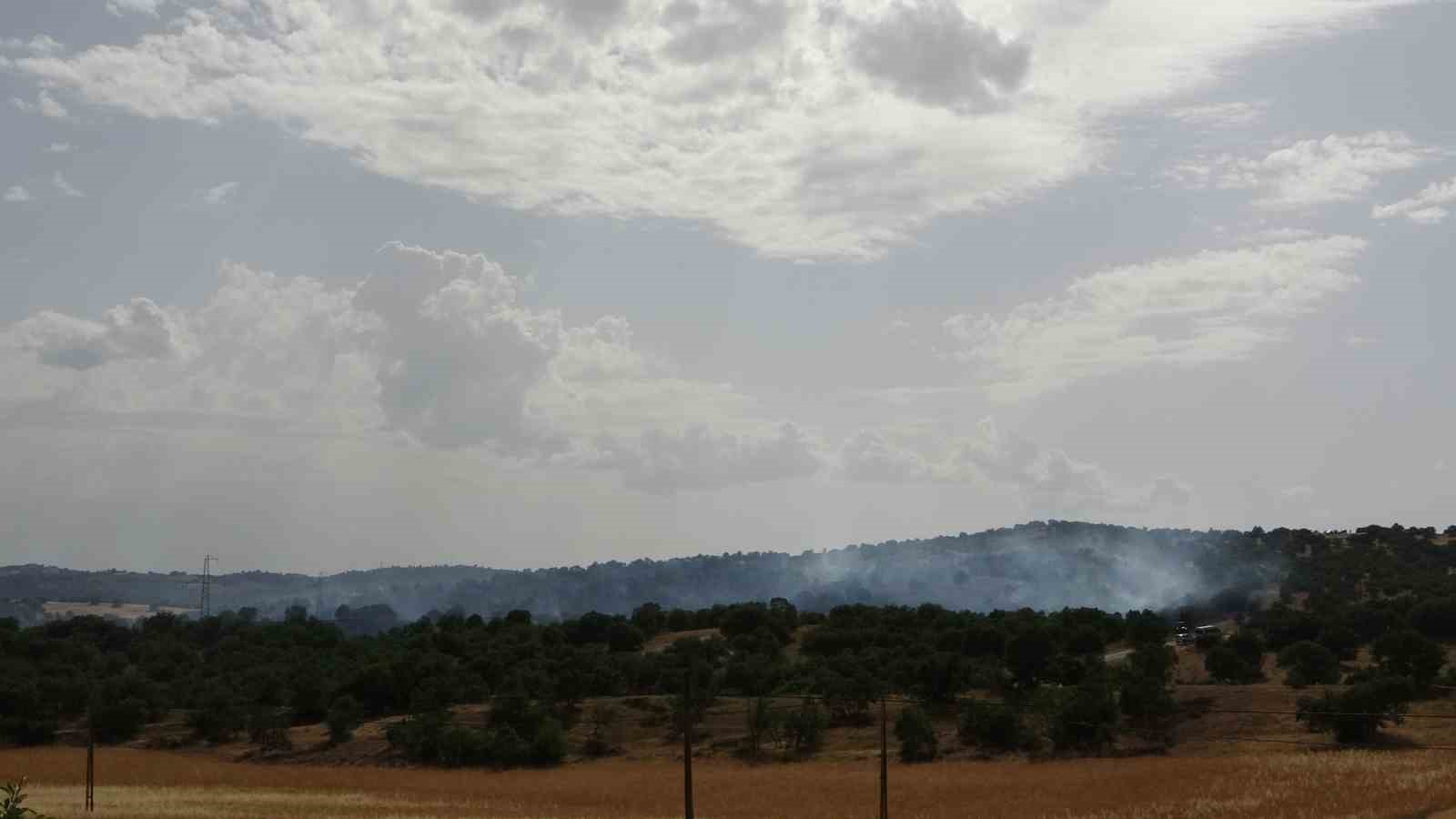 UŞAK’IN EŞME İLÇESİNE BAĞLI ÖRENCİK KÖYÜ YAKINLARINDA ÇIKAN YANGINDA 4