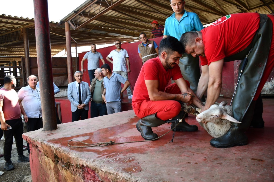 Uygulamalı kurban kesim kursu