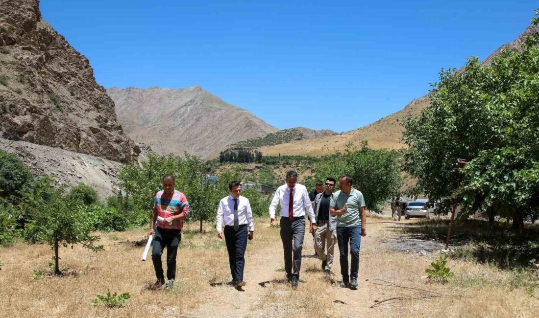 HAKKARİ VALİSİ ALİ ÇELİK,