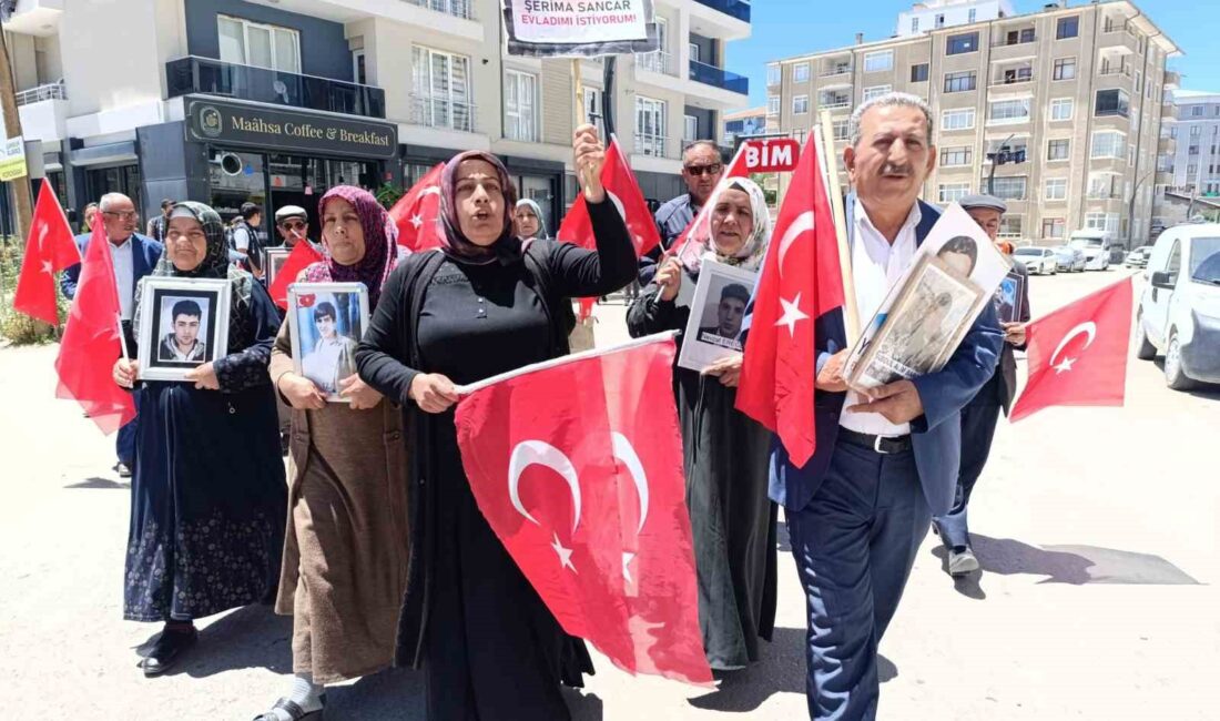 VAN’DA TERÖR ÖRGÜTÜ PKK