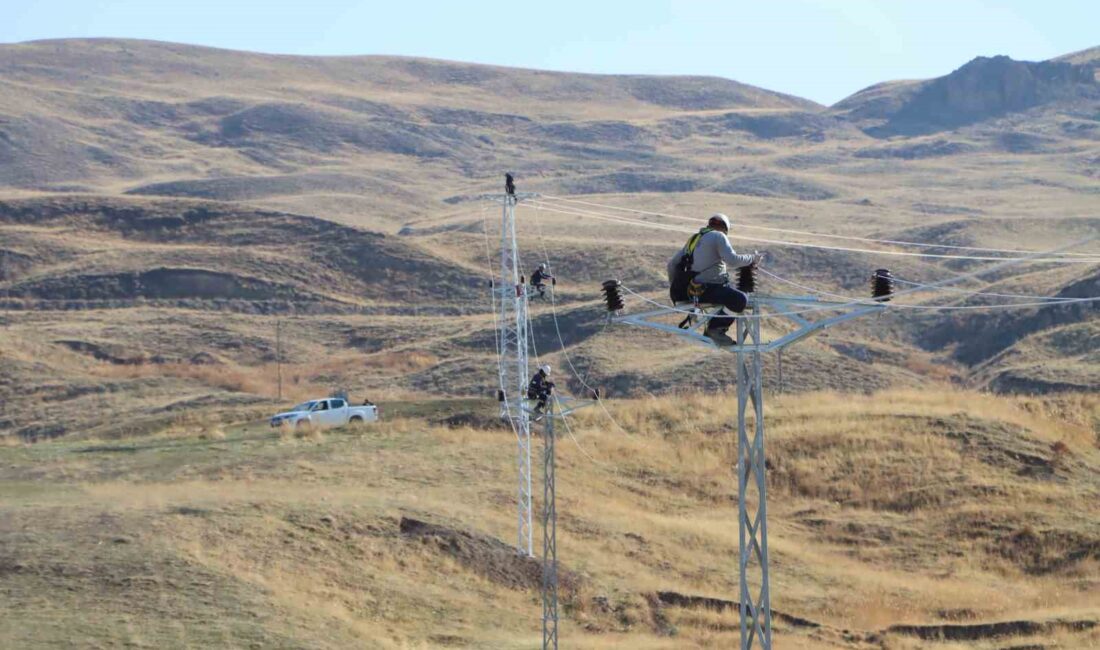 VANGÖLÜ ELEKTRİK DAĞITIM A.Ş.