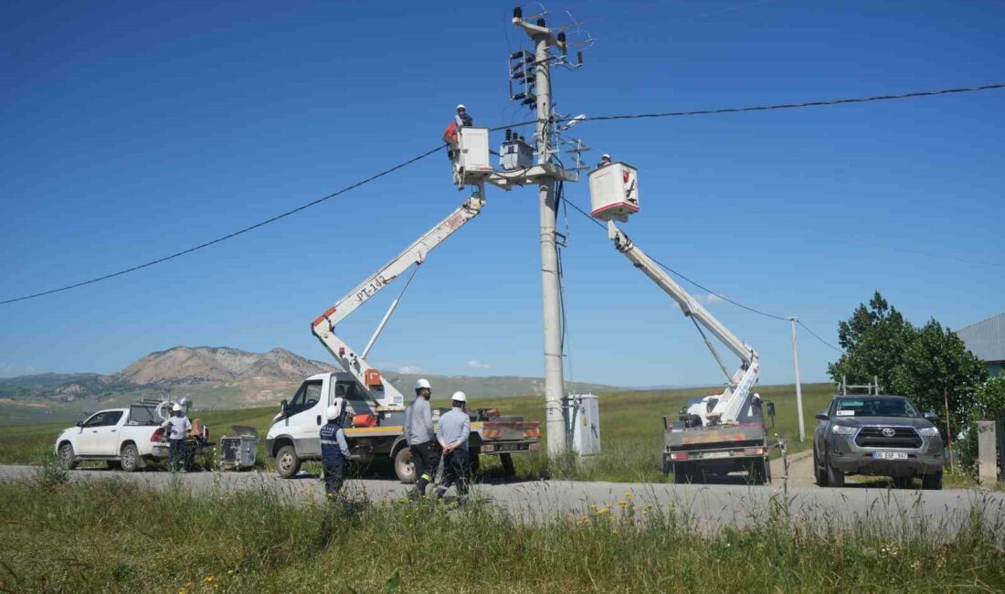 VAN GÖLÜ ELEKTRİK DAĞITIM