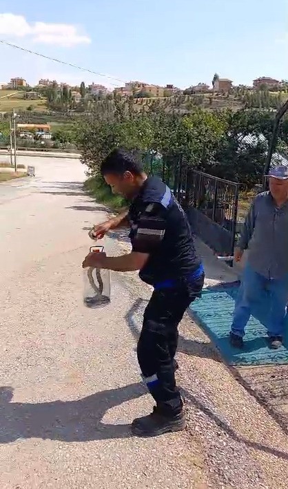 ANKARA’NIN AKYURT İLÇESİNDE ‘SON YILAN BÜKÜCÜ’ OLARAK TANINAN TUNCAY SEZER,