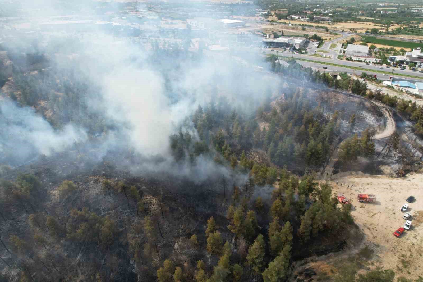 Yaklaşık 30 hektar alanın zarar gördüğü 2 ayrı yangınla ilgili olarak 3 şüpheli gözaltına alındı